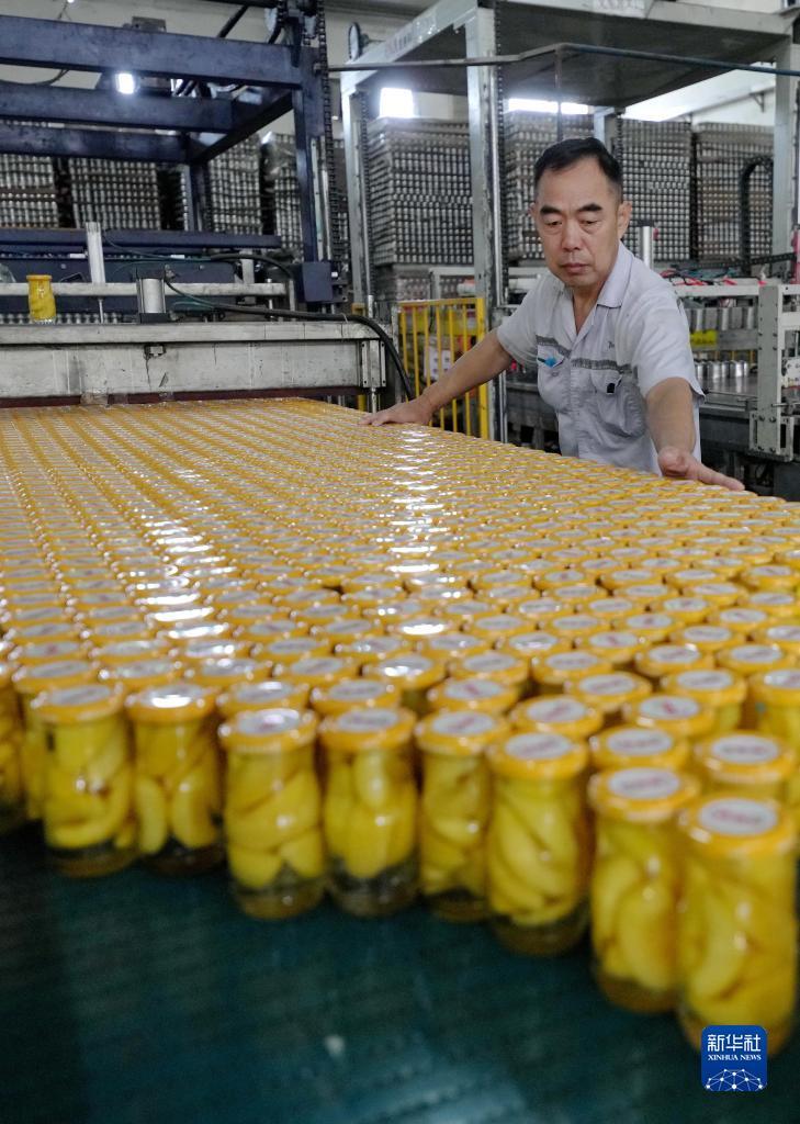 奔驰游戏网